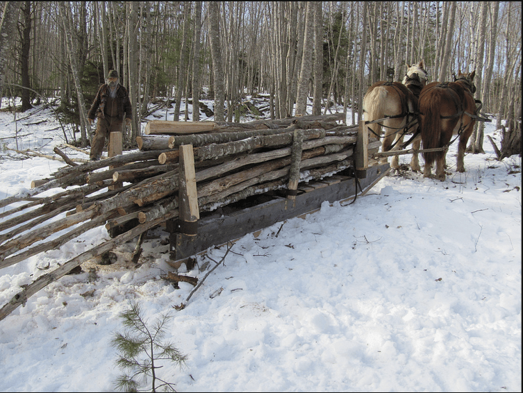 Draft Horse Loggin Scoot (sled) Farm Hack